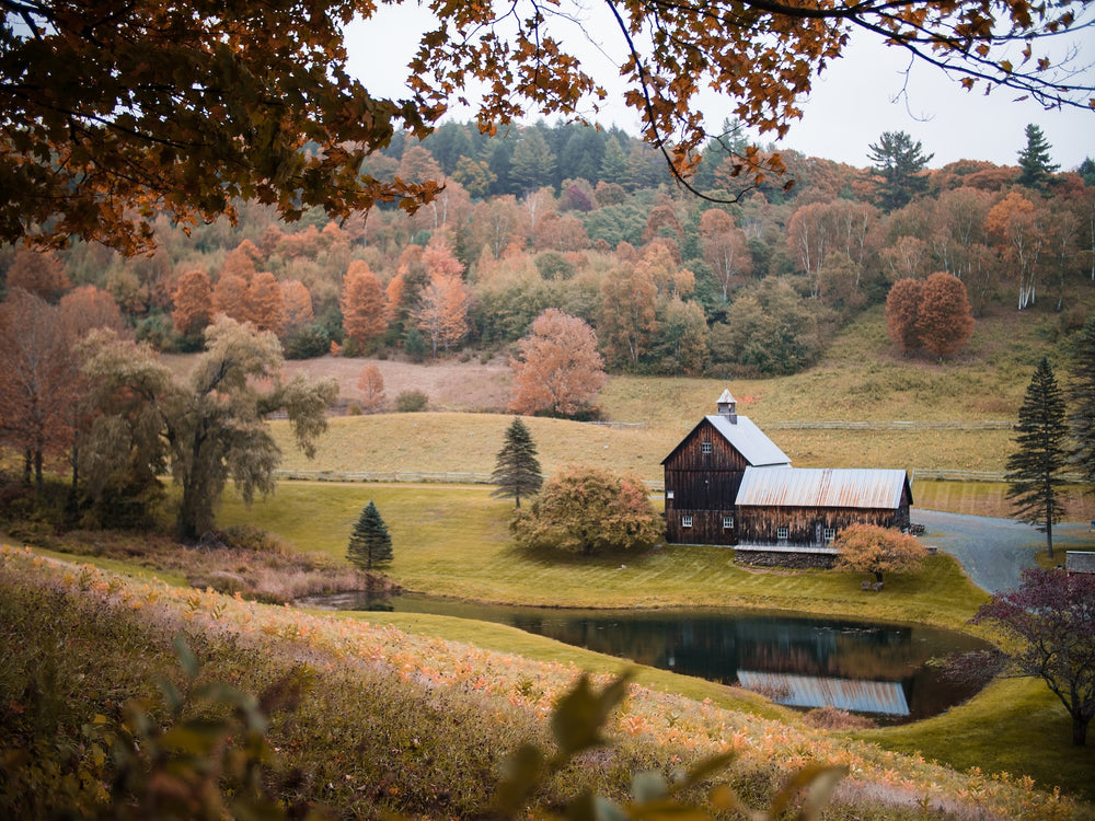 Vermont's Farm-to-Table Scene: A Guide to the State's Best Food, Brews, and Cheese