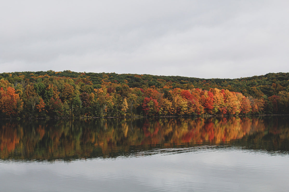 Connecticut's Quaint Towns, Covered Bridges, and Fall Foliage