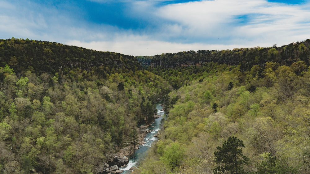 Alabama's Natural Wonders: From Gulf Shores to Little River Canyon