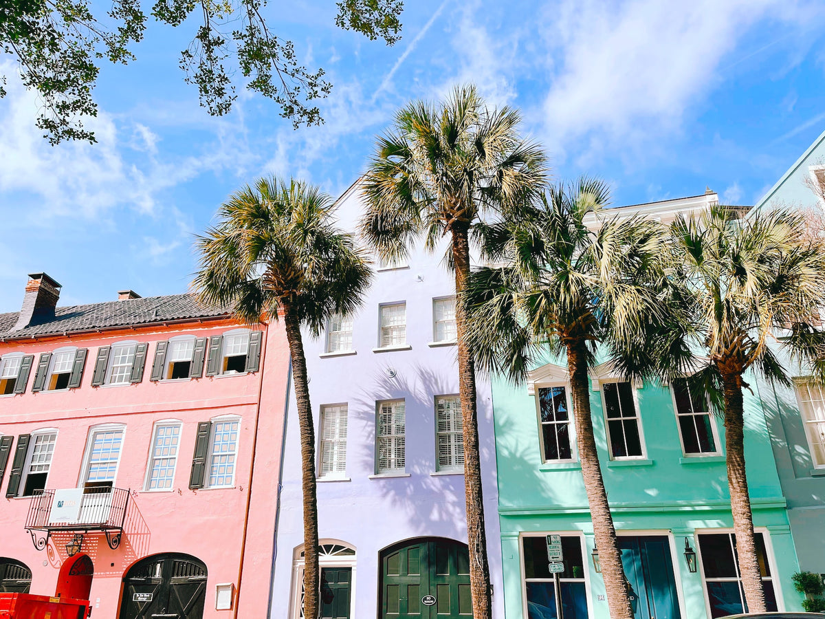 From Charleston to Columbia: A Journey through South Carolina's Artistic Evolution